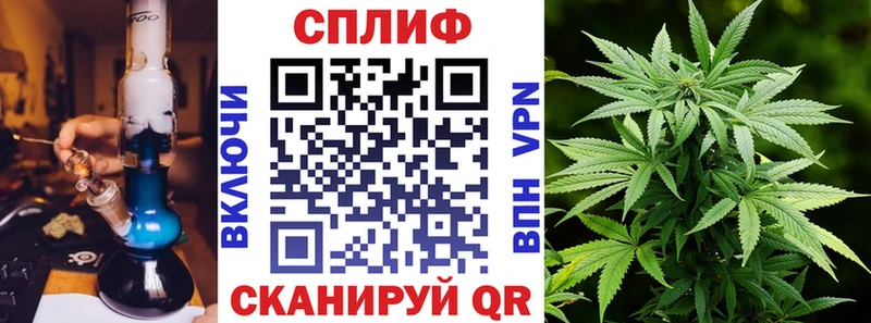 ОМГ ОМГ онион  Новая Ладога  нарко площадка формула  Шишки марихуана White Widow 